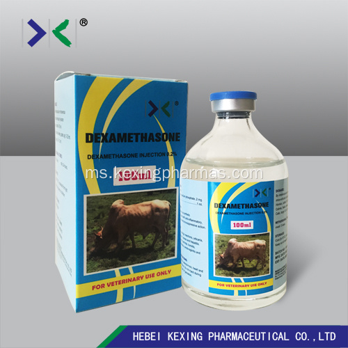 Lembu Suntikan Dexamethasone dan Domba